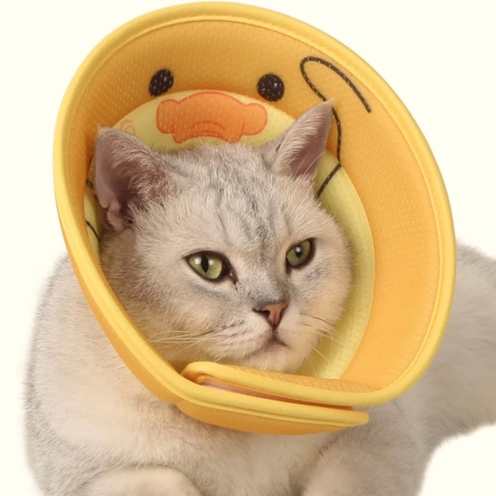 New WZPET Cat Recovery Collar Cone Adjustable Cat Cone Collar Soft Cone for Cat